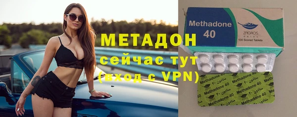 стаф Новокубанск