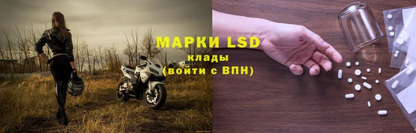 прущие крисы Болотное