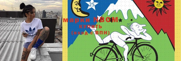 стаф Новокубанск