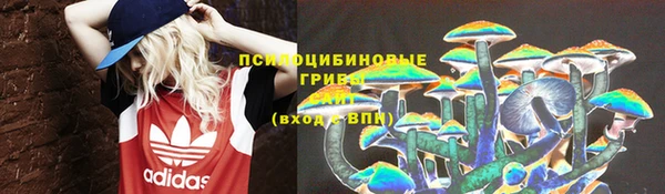 a pvp Новодвинск