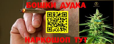 гидра Азнакаево