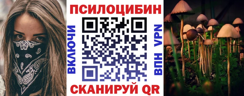 Галлюциногенные грибы Psilocybe  Алушта 